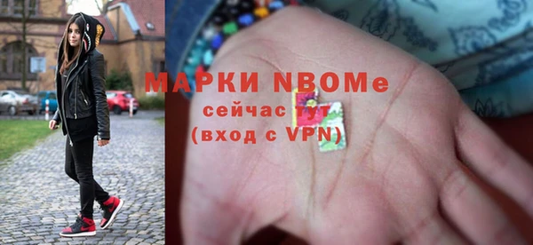 гашик Пересвет