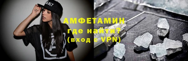 гашик Пересвет